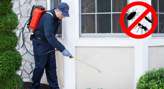 Buharkent Hamam Böceği İlaçlama böcek ilaçlama ve haşere kontrolü — ilaclama-tr.com
